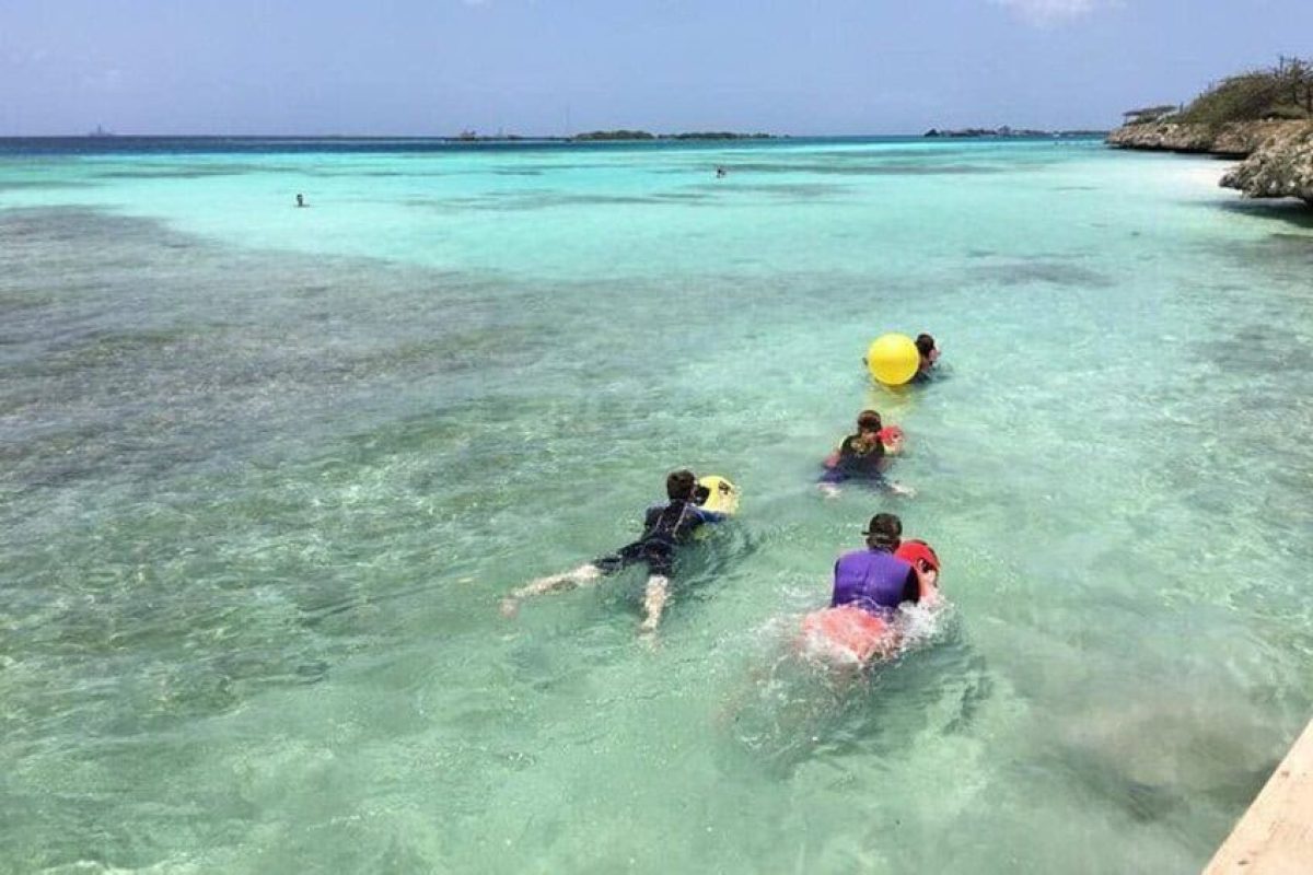 6f8d0f6e-d1e1-432d-bf12-83fae92dedf1