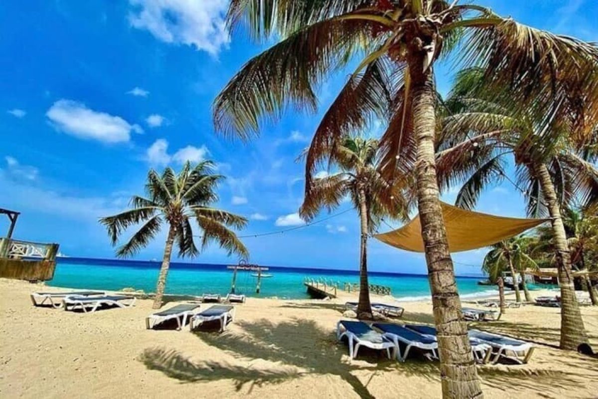 7197b1cc-2126-4c23-82ae-1689b59d4eab