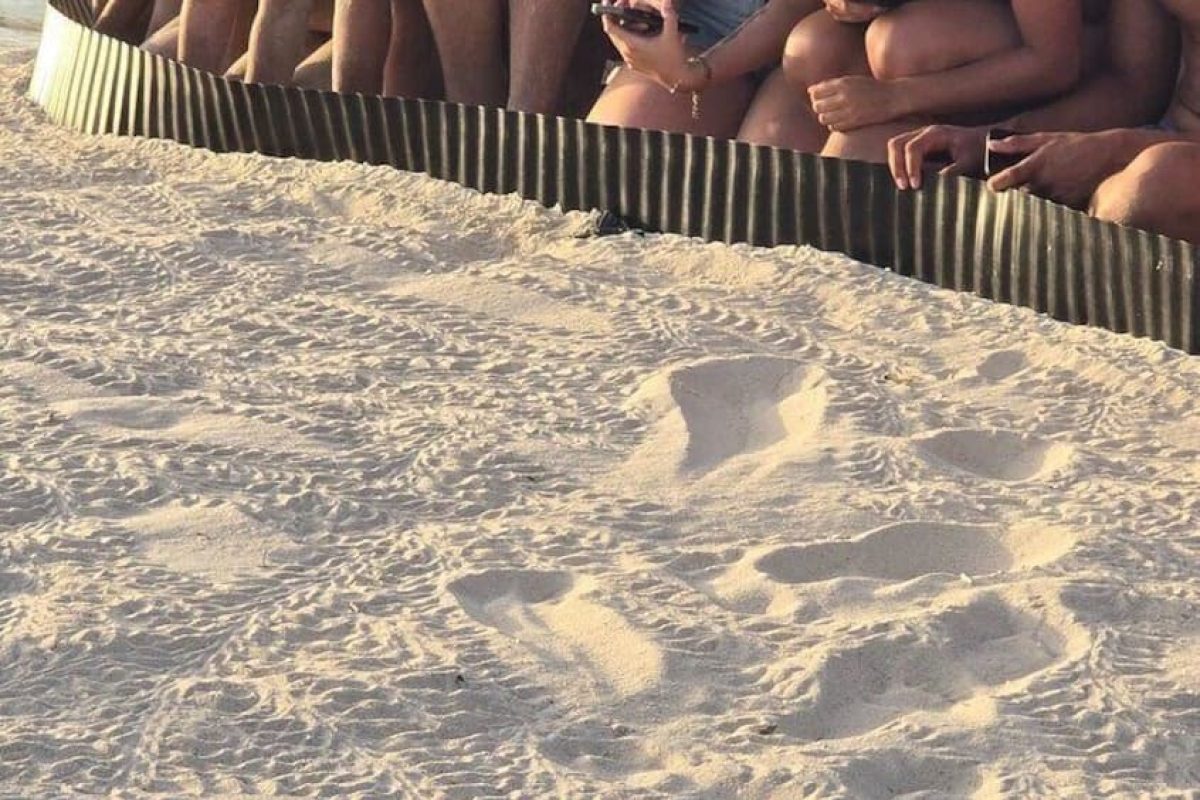 7300b3ad-0a40-40ab-83db-227926150677