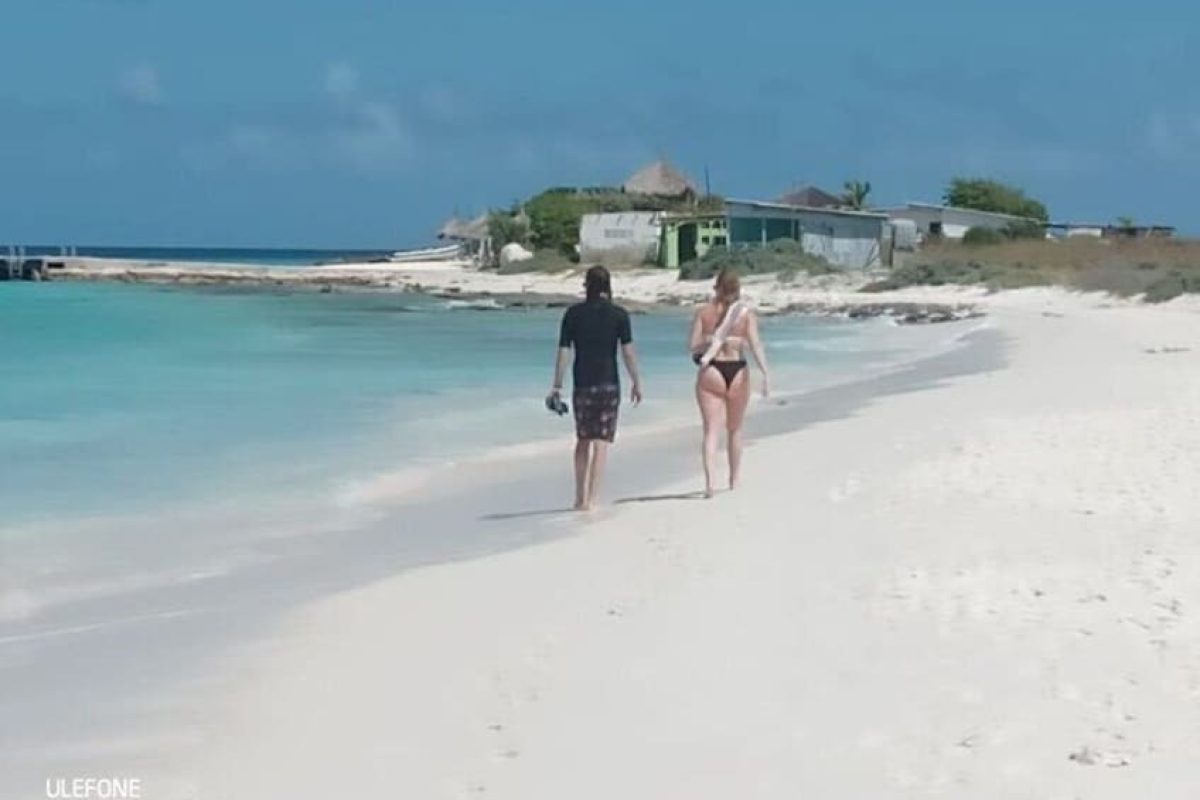 767c7db3-4251-4935-83ee-f9646e72b253