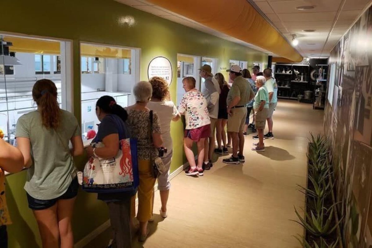 768567ef-b8ba-4eff-8b49-96e811844fa8