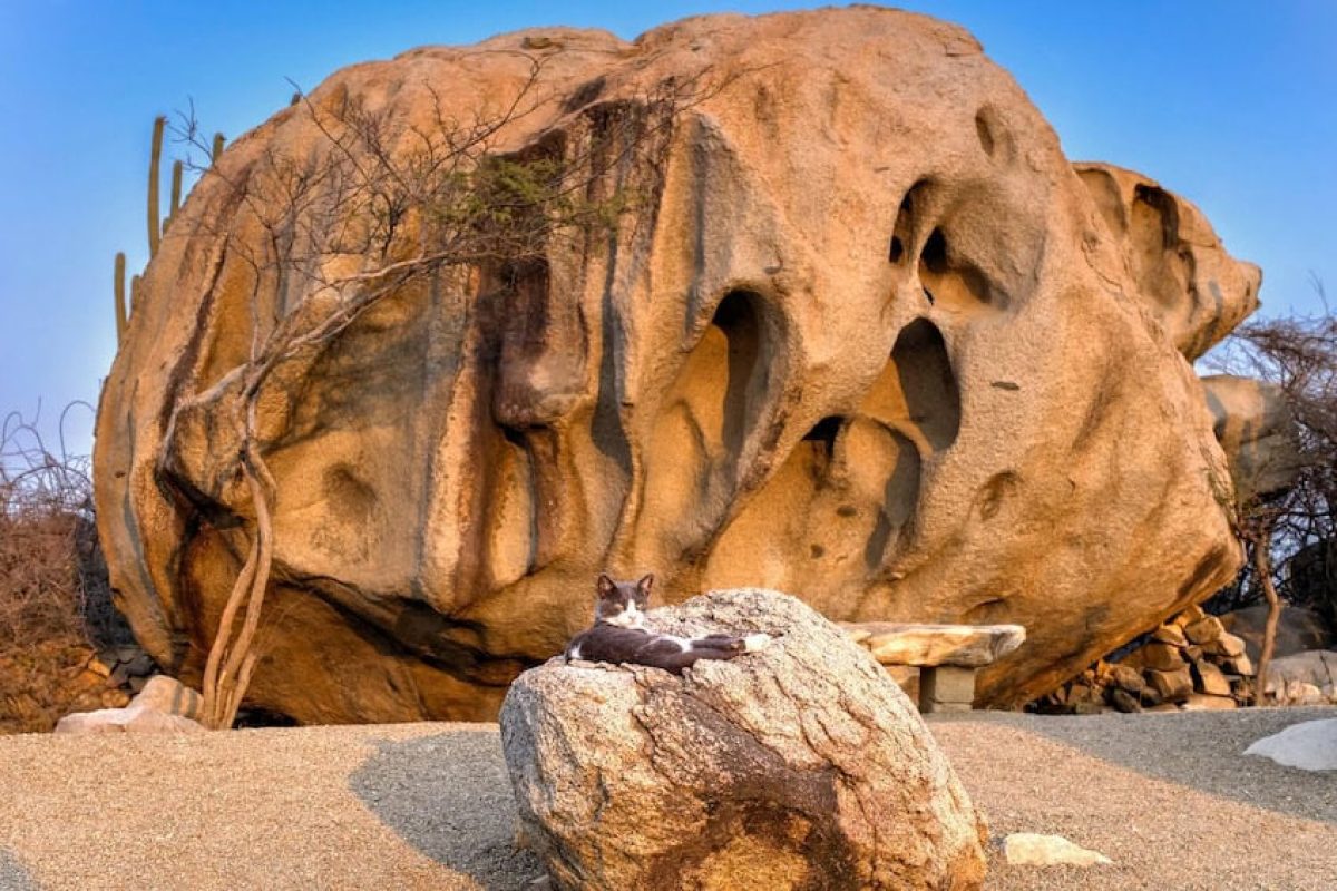 781676ba-751a-477c-8381-53c840eebece