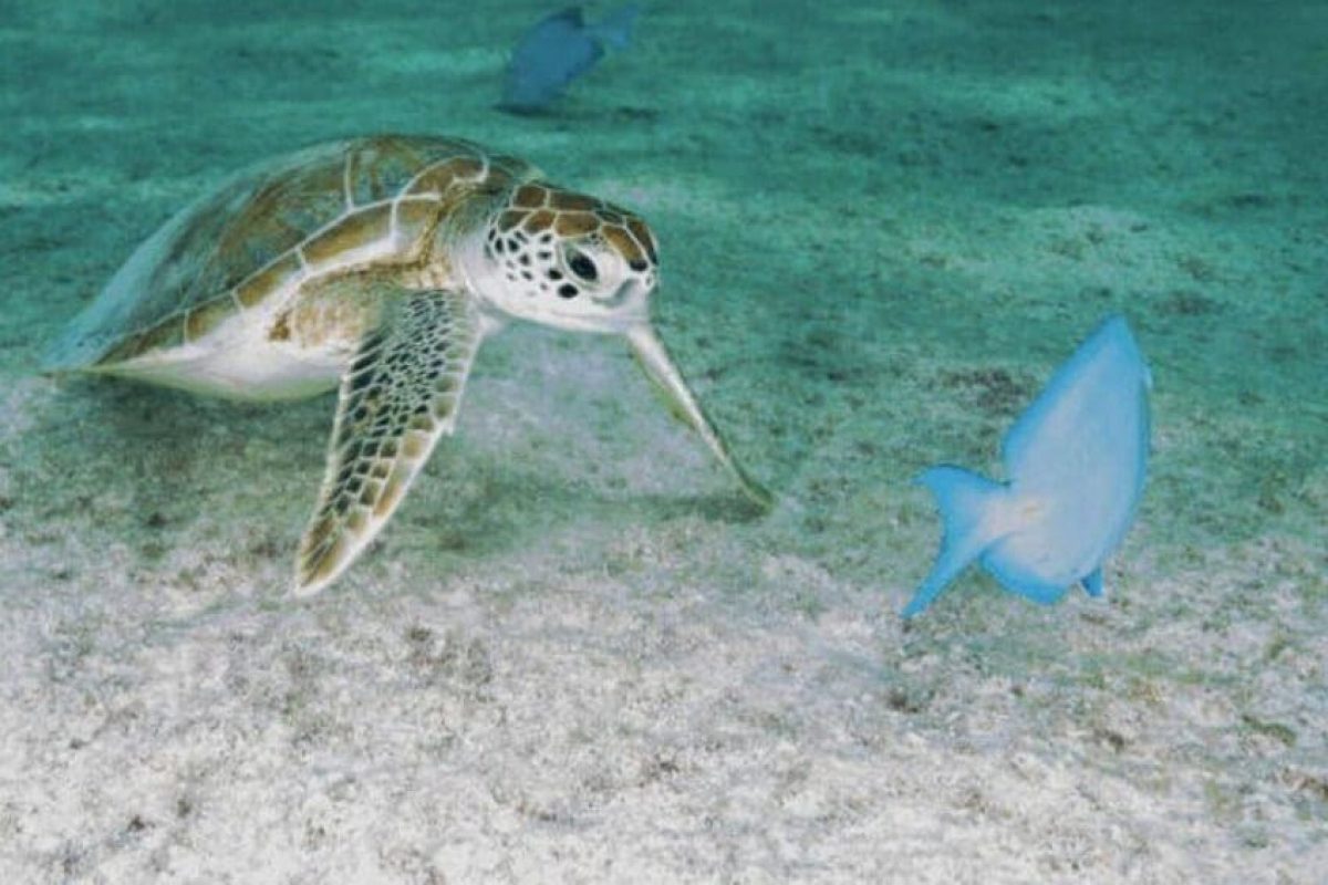 7be9cca6-5846-4837-87b2-22ac2bf267c7