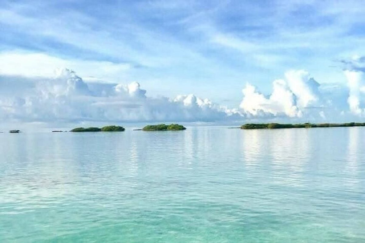 7ca8f0c0-2a52-4154-bd6a-eef0b187d661