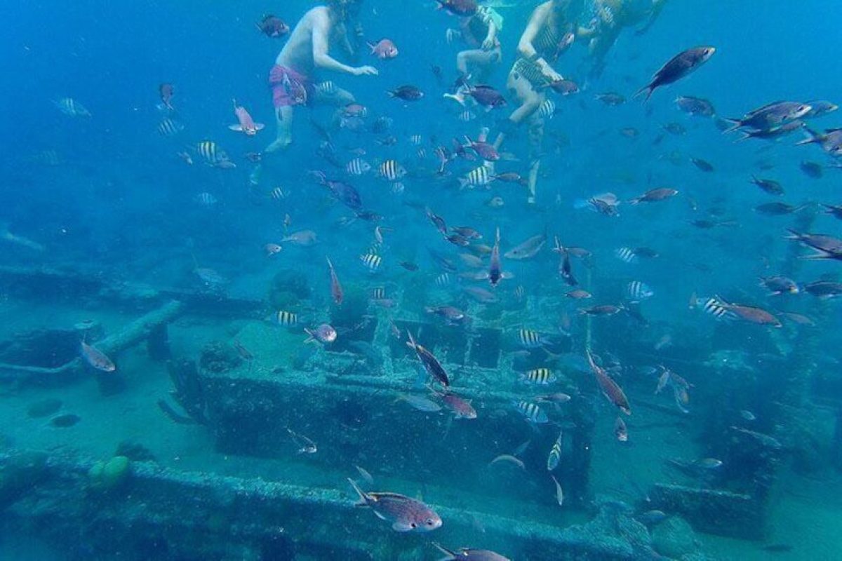 8019d294-d16d-4076-8e13-7c194dbbf97d