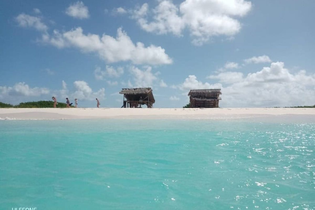 81275d9e-b250-4b1f-821e-5cf5b4ae2632