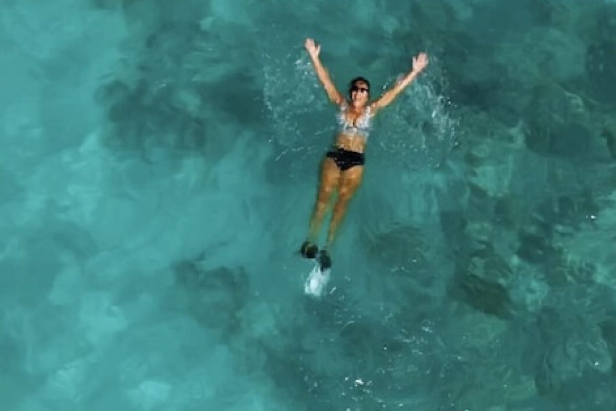 81a3279a-87fb-44ca-b859-d59c6187dfc7