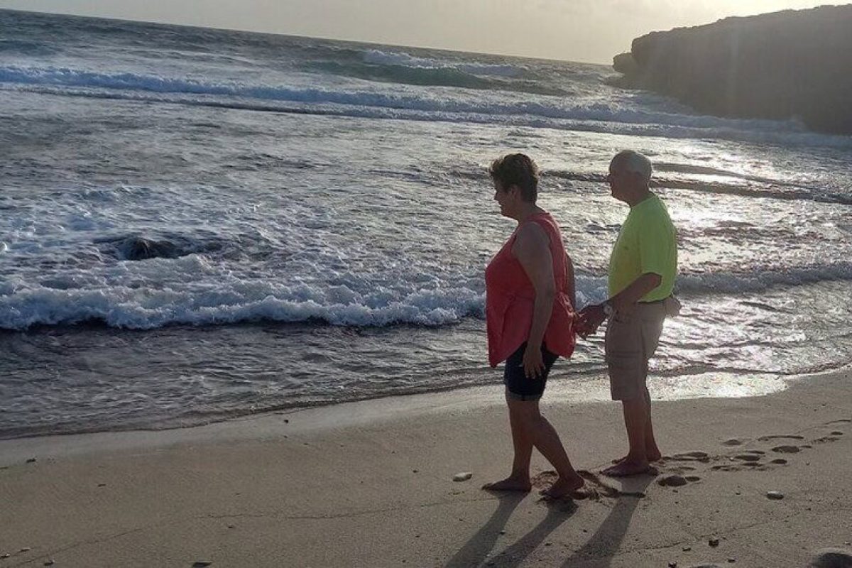 81dd1135-f3f1-4bd5-a21a-583800821e3a