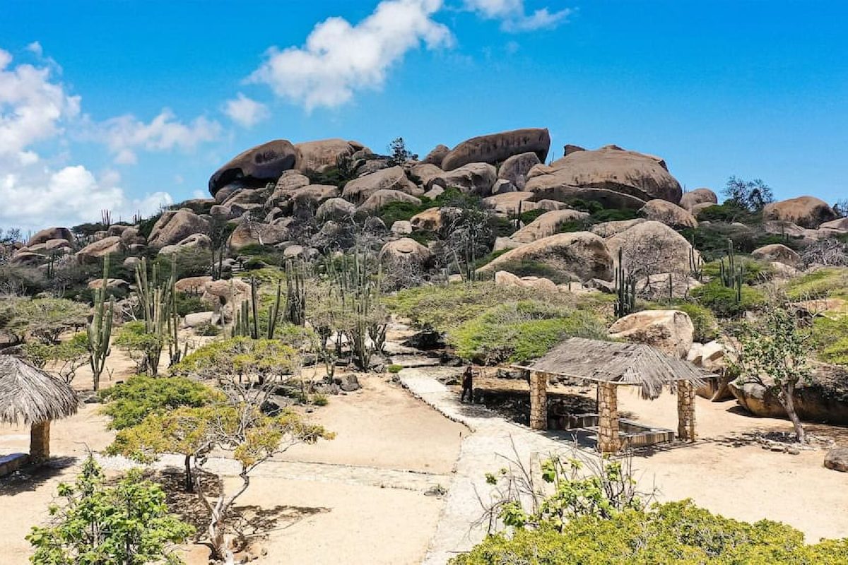 8231e044-8ad9-4f84-86f9-fc85f22b3c6b