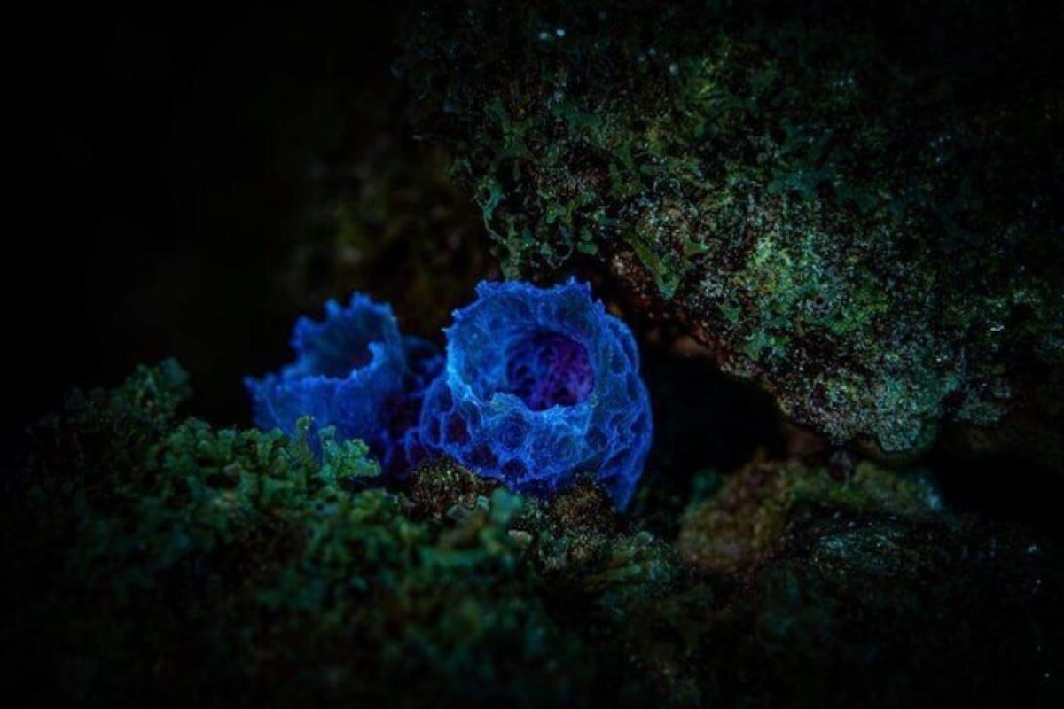 8251cd65-9935-49c6-a5e3-44173038d94c