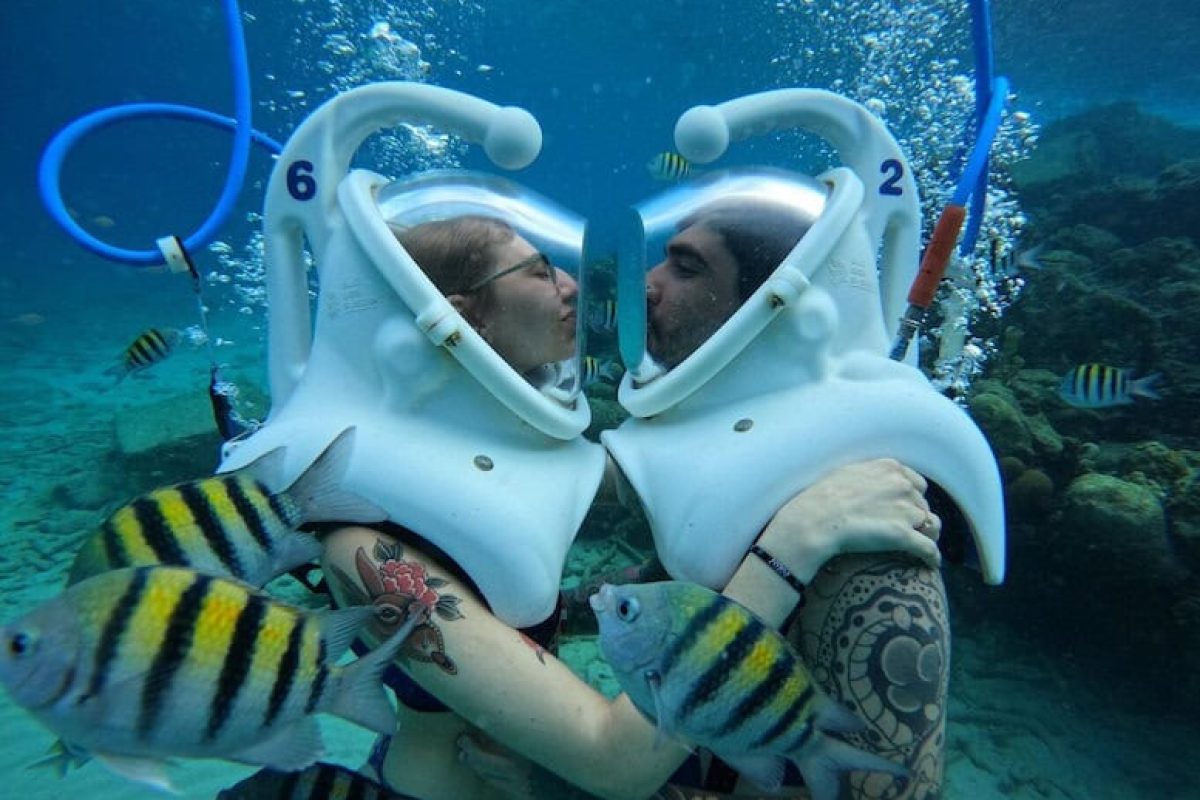 849c2059-8e84-4ea4-8d21-8079233d978b