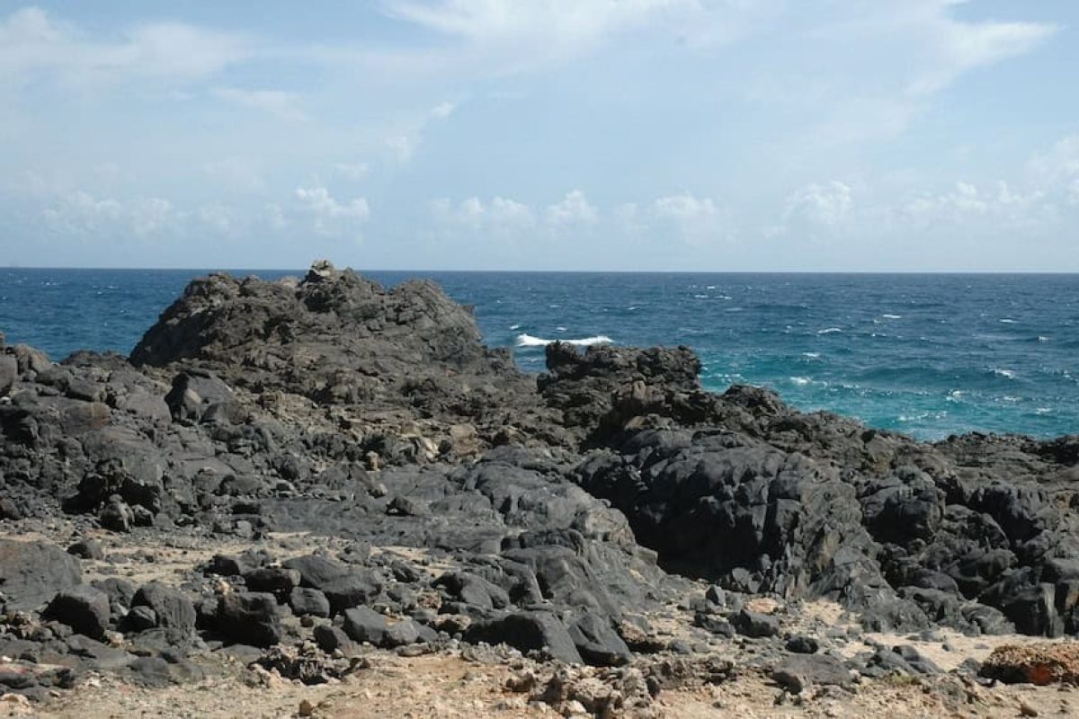 872baf8b-11f4-40b1-a505-3a76c19db6d0