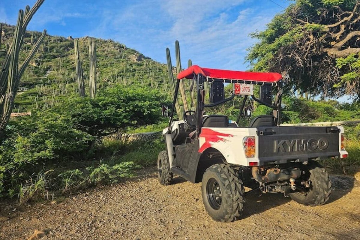 8ce7c9ff-5580-44a4-8dc3-b06432c160c5