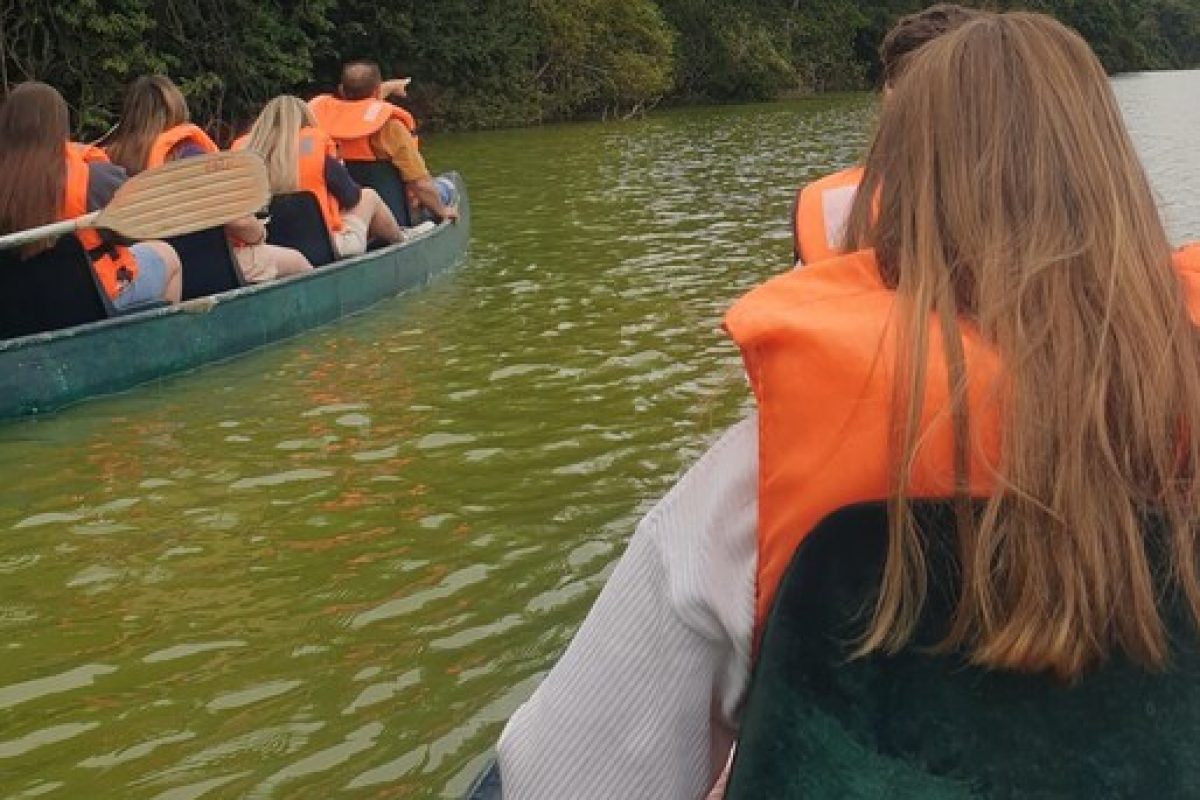 8f629ebd-e633-4f48-b418-cc5acd528b79