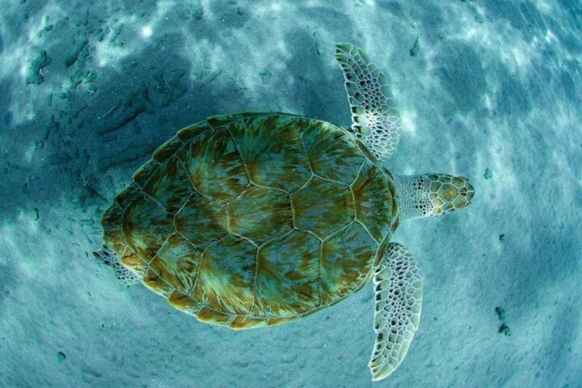 8fb0e9aa-0d13-4248-bdeb-9cb38456e848