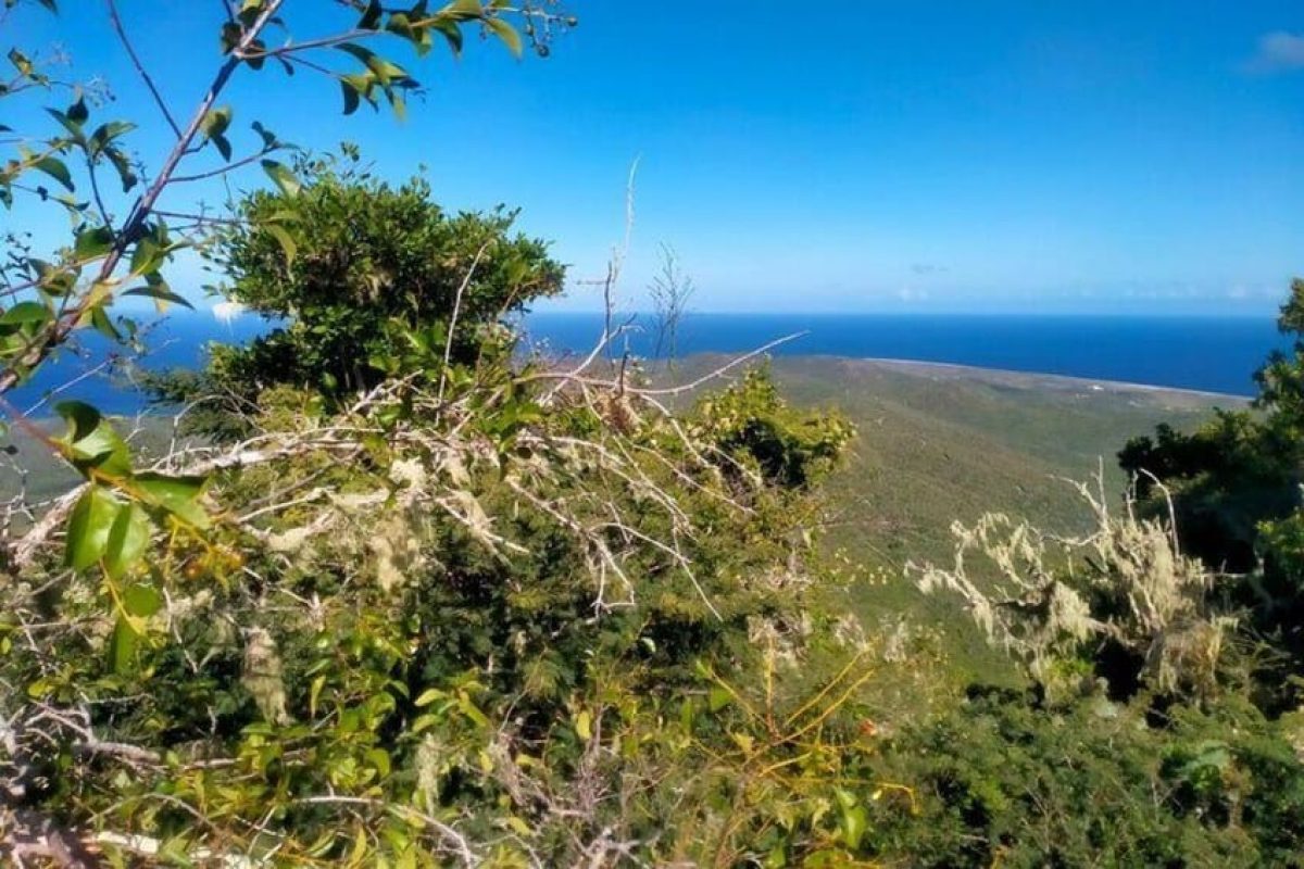 90335ff9-730b-41bf-a5d3-f7b07cfaa246