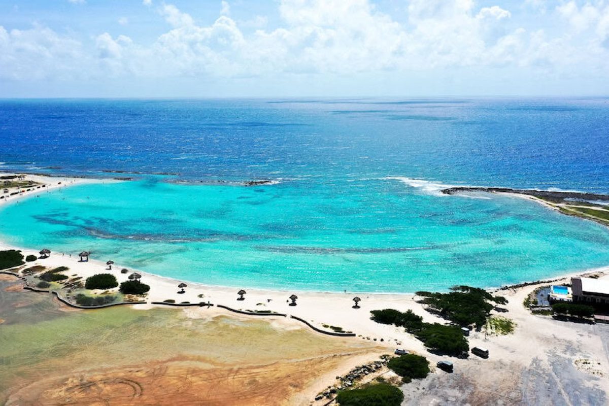 903d778d-fca6-4f57-91ba-aa5166310cb8