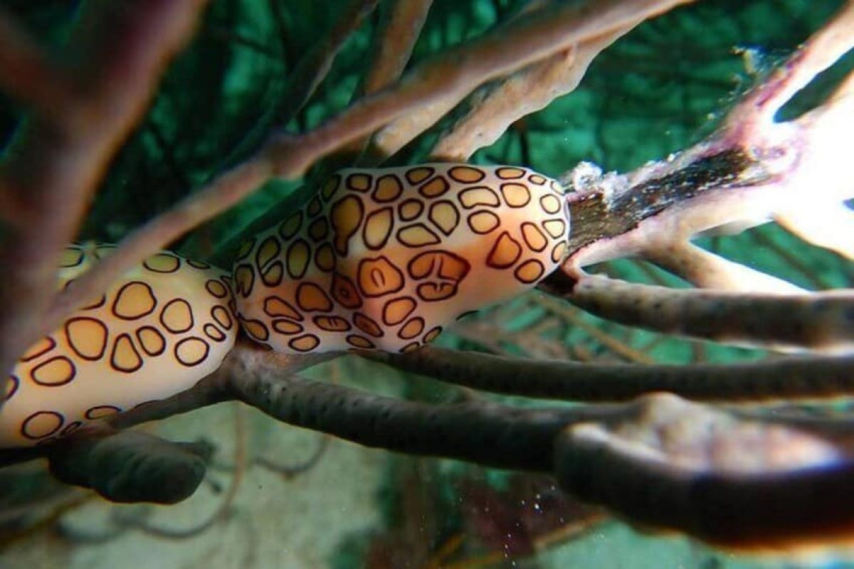 91c07f2d-db95-4318-9f1b-8b9fcdea2b93