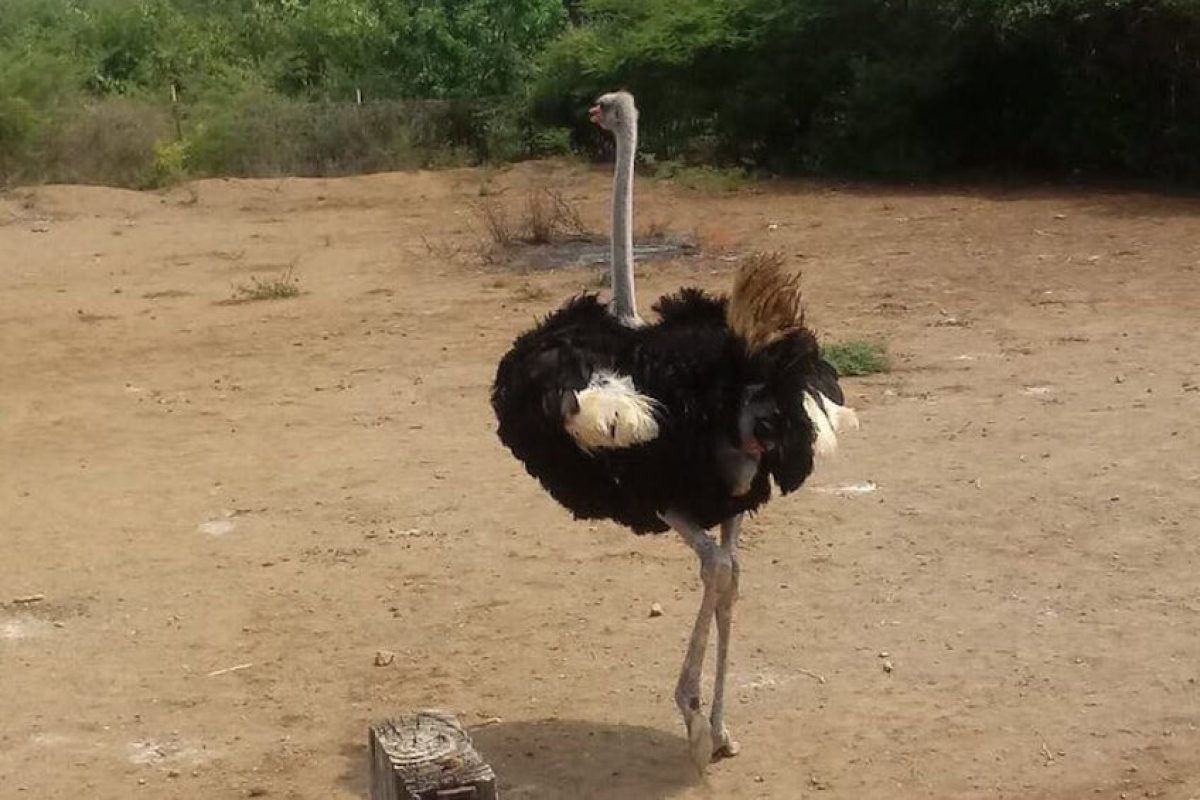 92b6fac0-08c2-4fd1-9202-f0e5224eecc3