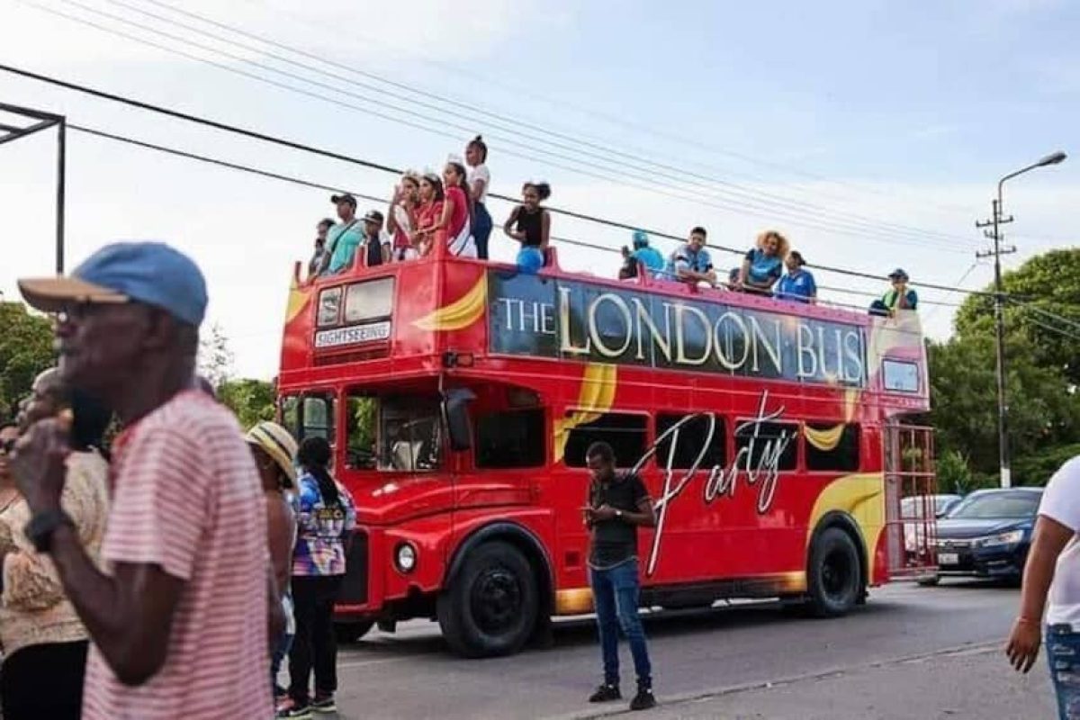 Flamingos & Beach (Curazao)