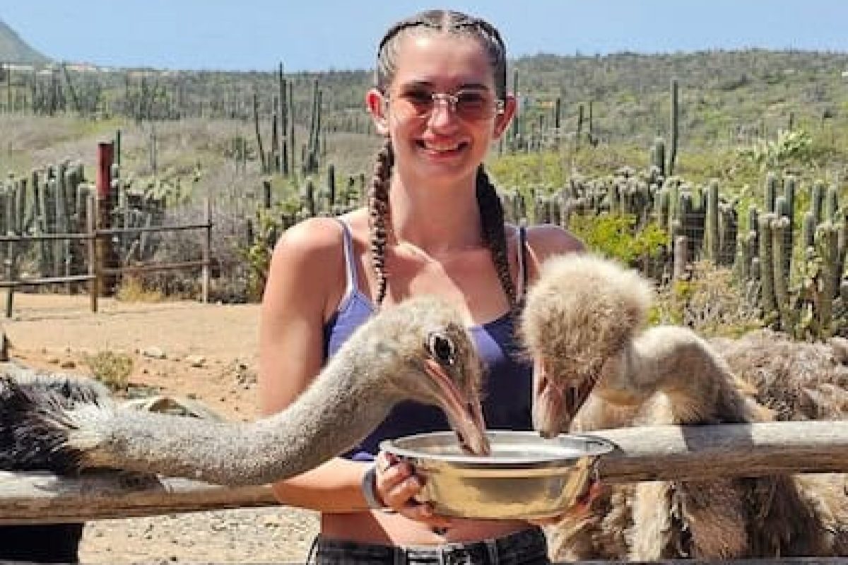 931cc79a-d14b-4229-a8c7-9c447c317a12