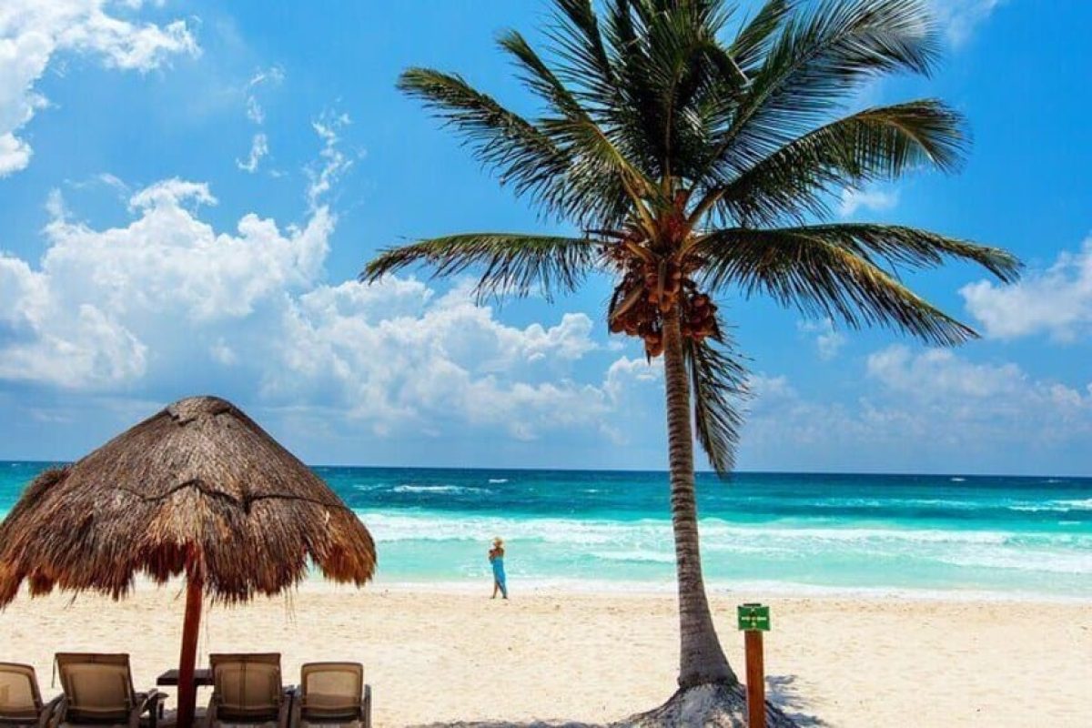 93b2fc39-fd91-4339-ad57-2794128febaa