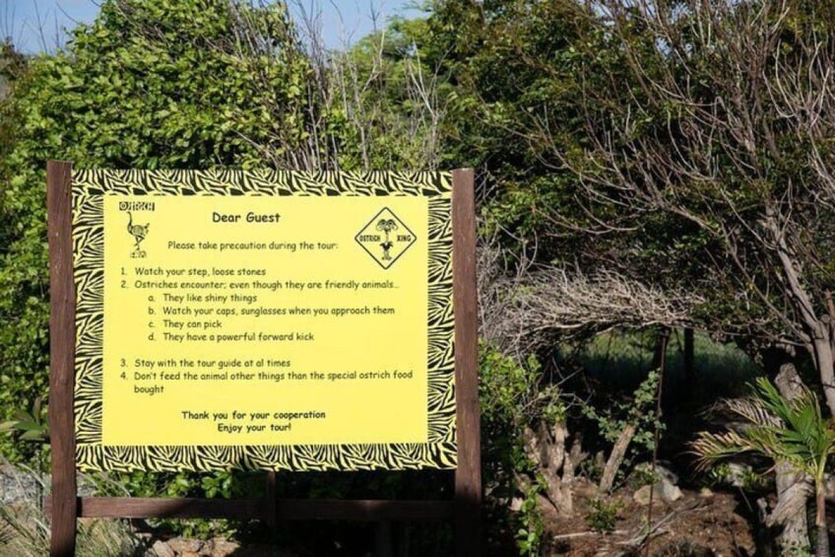 98cea9a6-2e63-4ab5-929e-1ca8cec05174