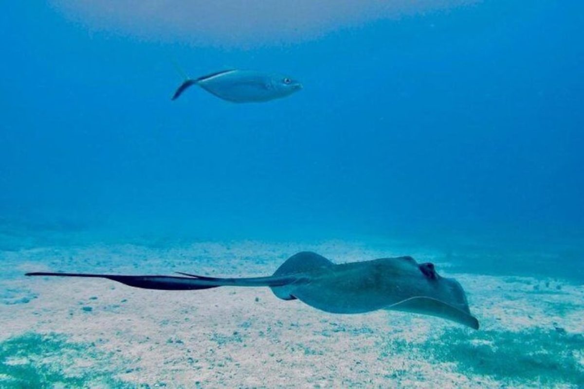 9ac93b8a-5d83-4308-892a-4b369c2fed2f