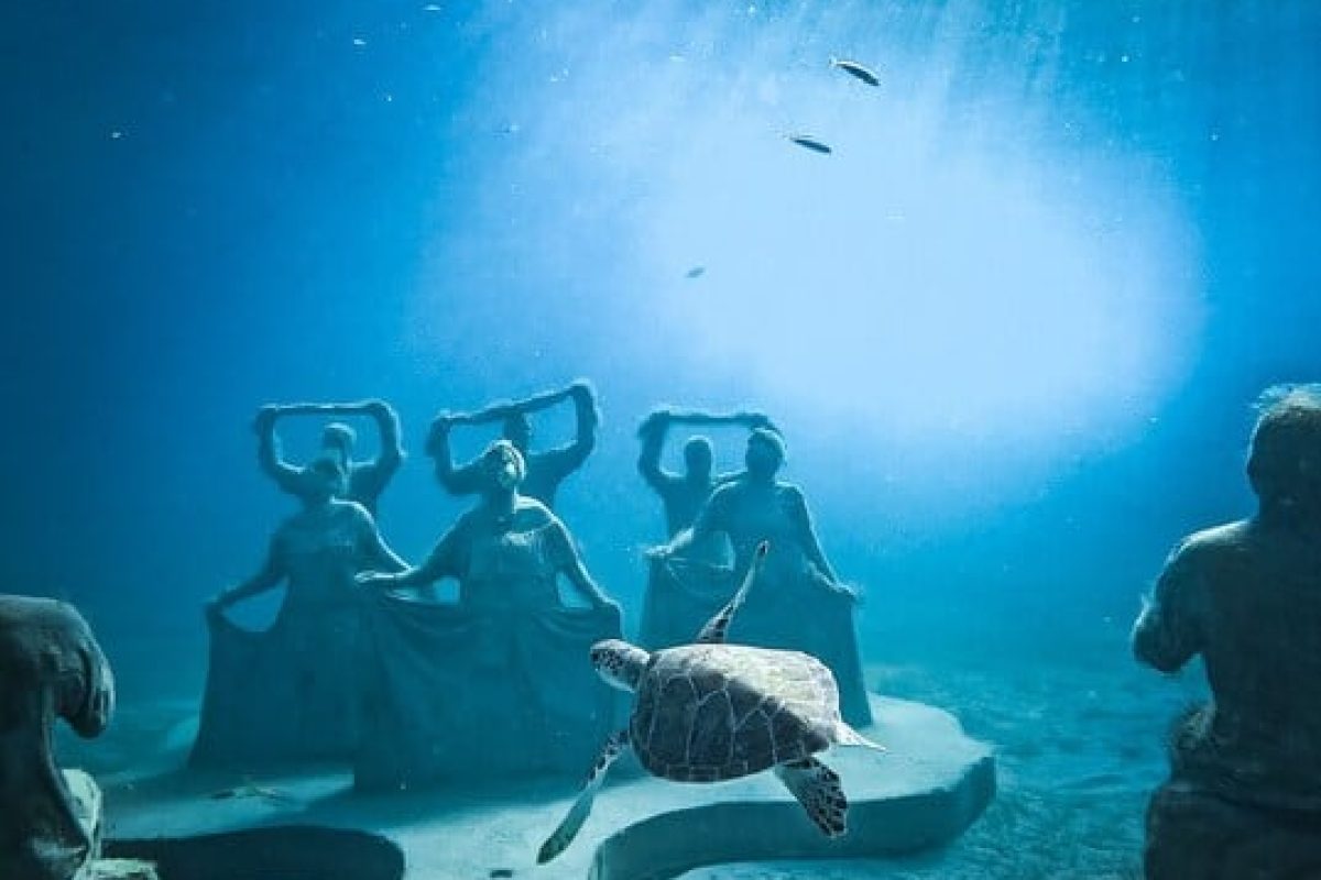 9e91d762-2bfd-4f4b-b5c8-8e06c5f717f6