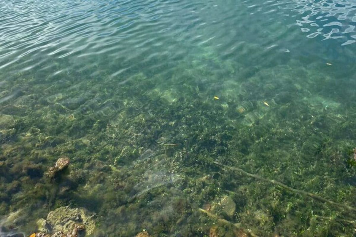 9e9bfd7f-8aa3-42c0-b6df-18737fa7cbc7