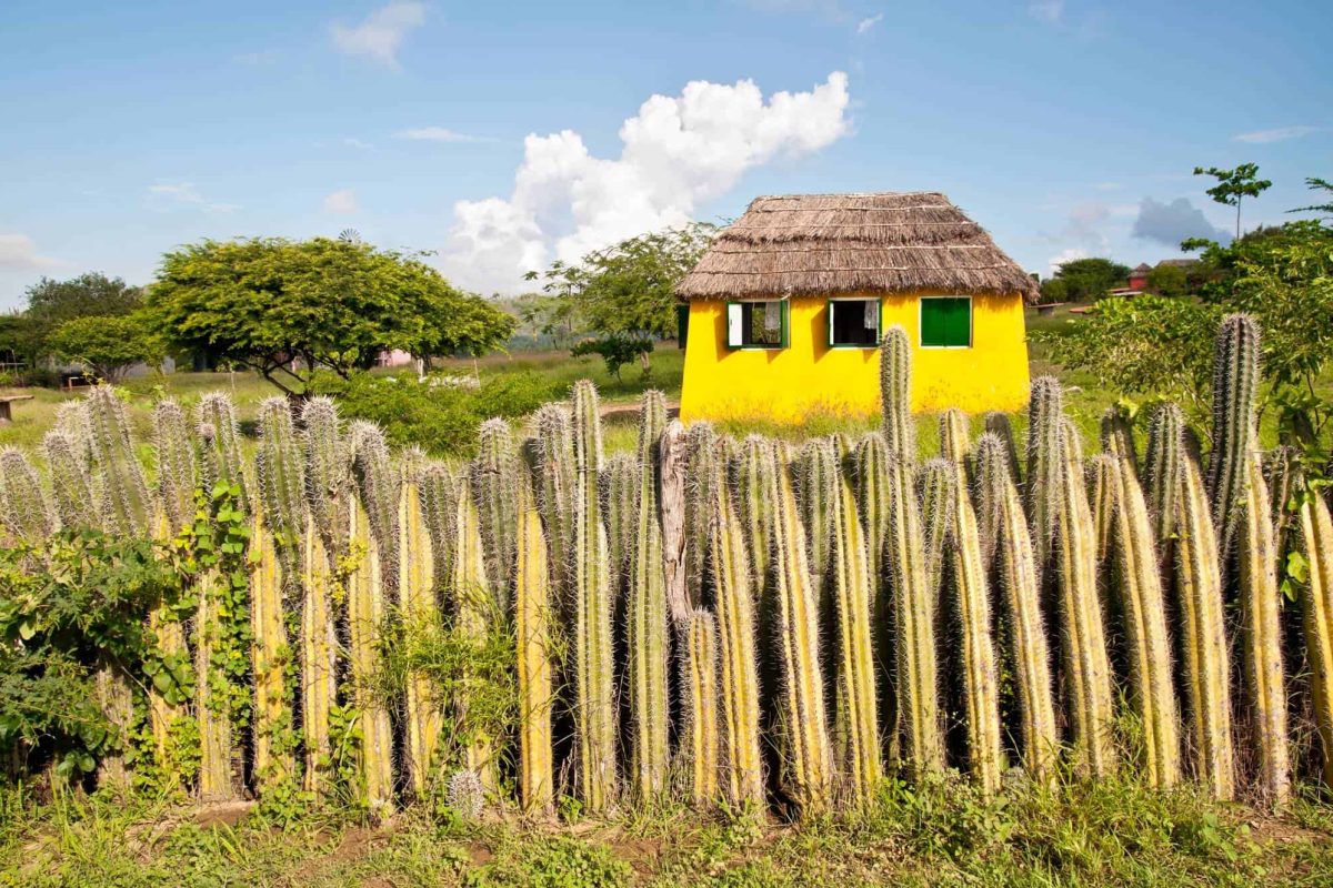 Bonaire off road adventure 3