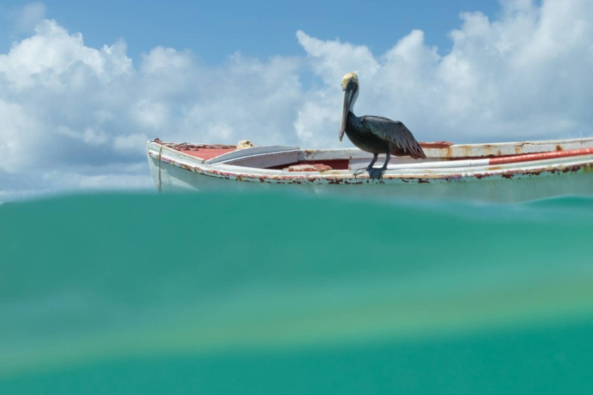 Bonaire off road adventure 4