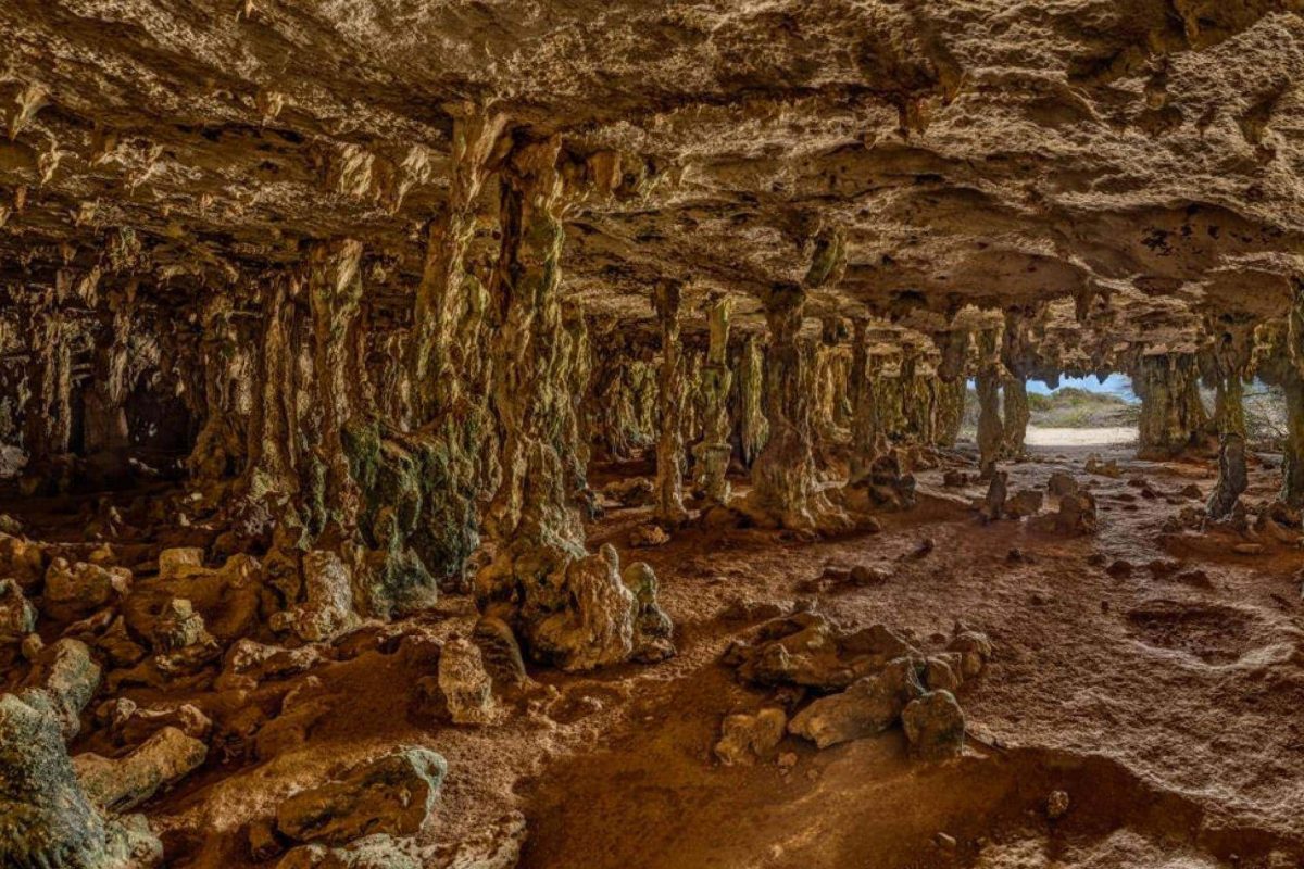 Bonaire off road adventure 8