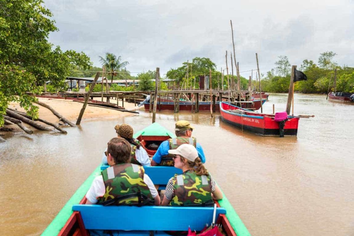 Crucero en barco Bakkie & Alianza de Museos