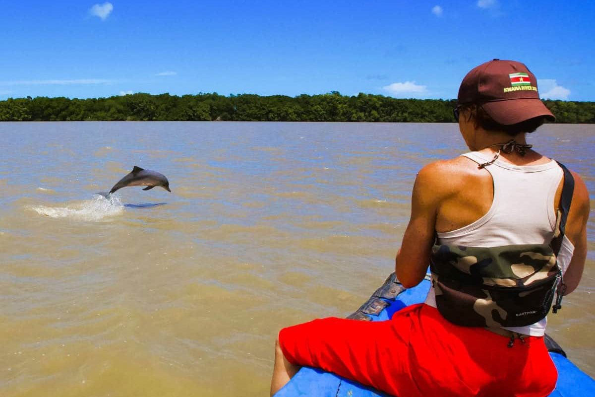 Dolphins-Orange-Suriname-3