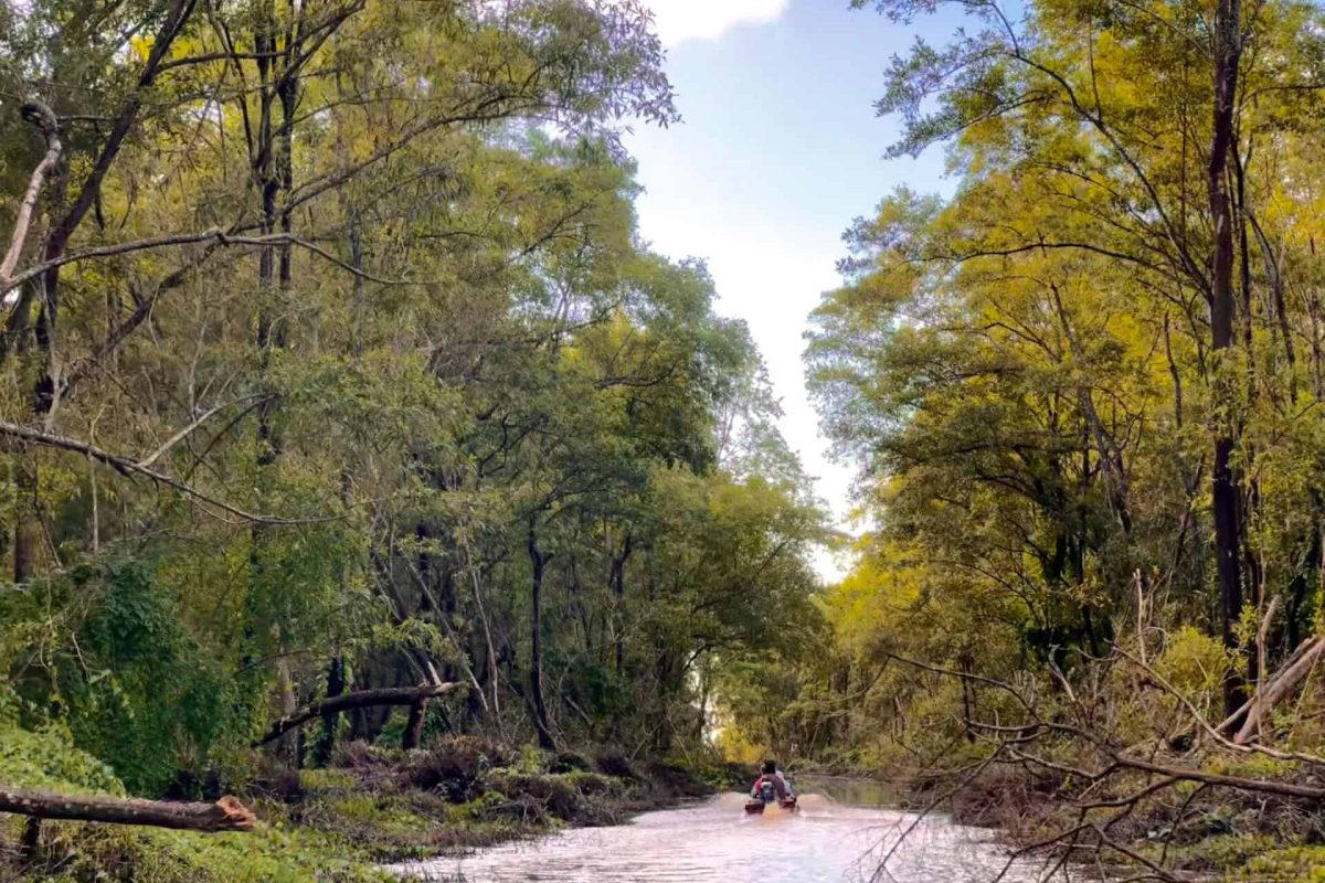 FD-tour-matapica-beach-promo-03-1920x1440