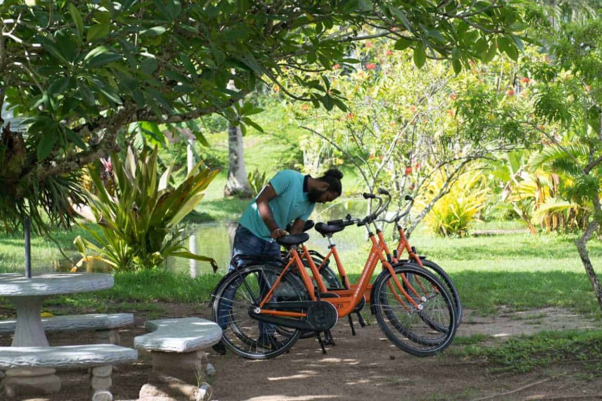 Fietsverhuur Plantage Kroonenburg 2