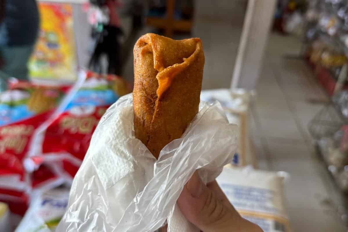 French Guiana-Excursion-06