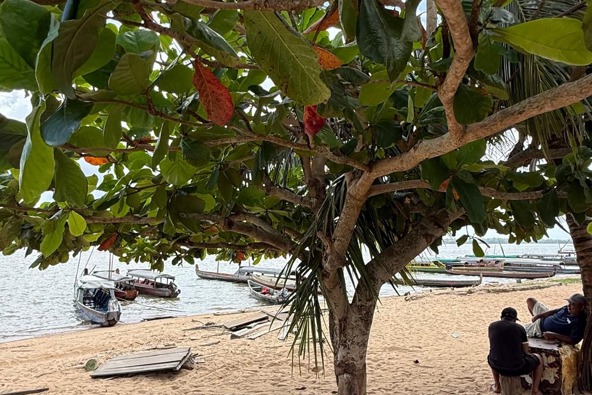 French Guiana-Excursion-14