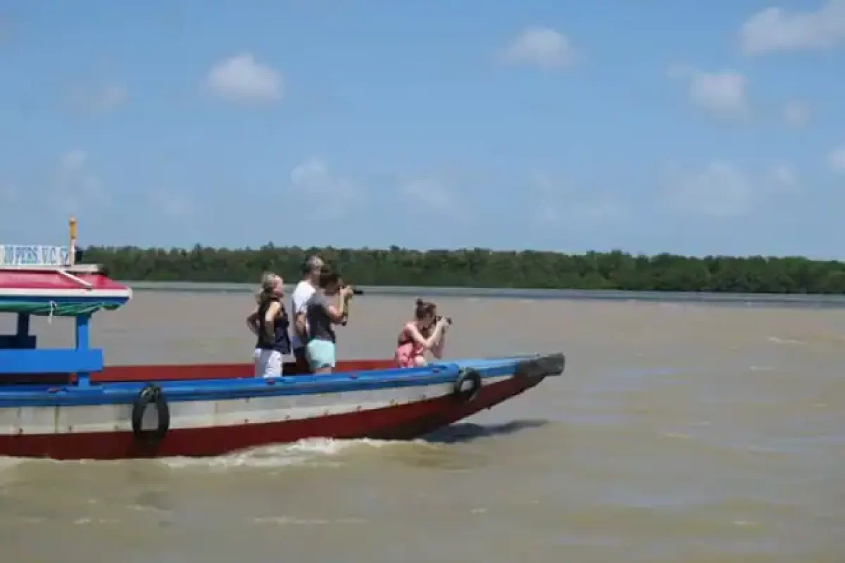 Guiana River Dolphin Watching (Suriname) 2