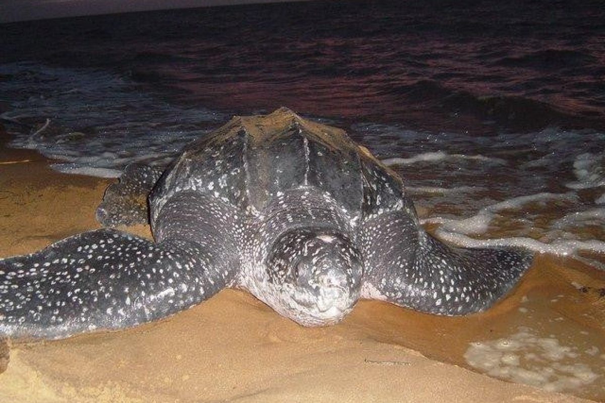 I7kpyhjB4h5QC4KZqydOuRTvd8JPHifHoKprn4Ho