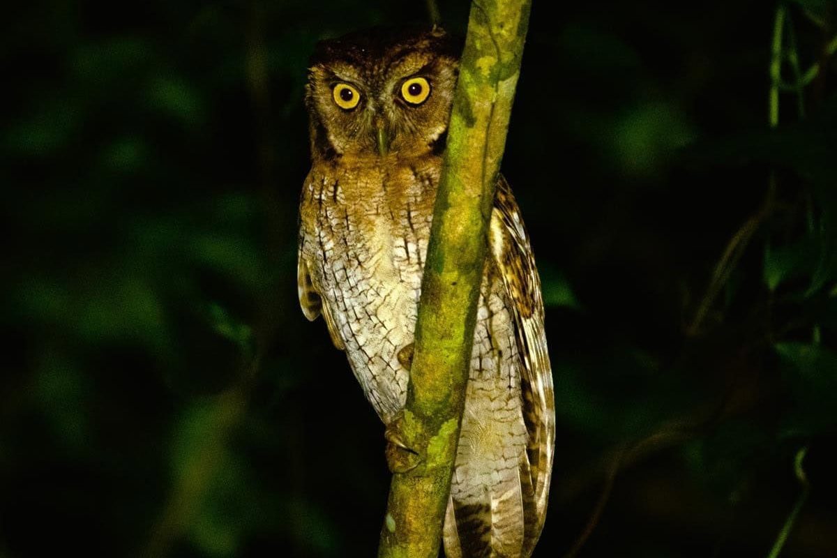 LN9r7SrOEtrpSfvgEVBNuCVgyARNPOpUmFWb30MR