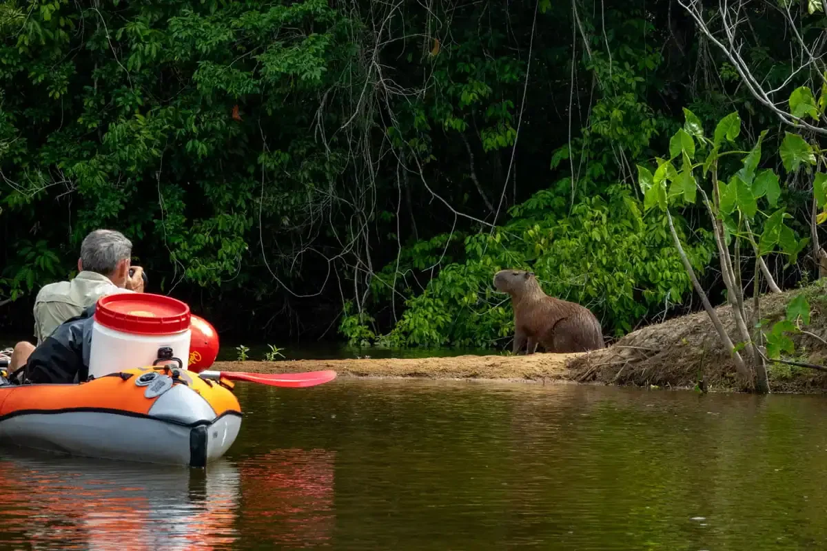 Lucie River Kayak Expedition (Suriname) 4