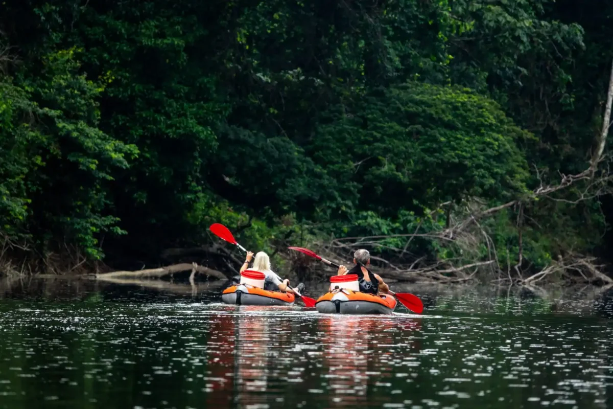 Lucie River Kayak Expedition (Suriname) 7