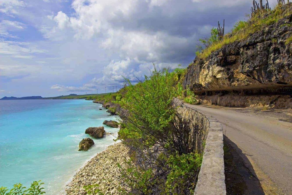 Noordkant tour Bonaire 1