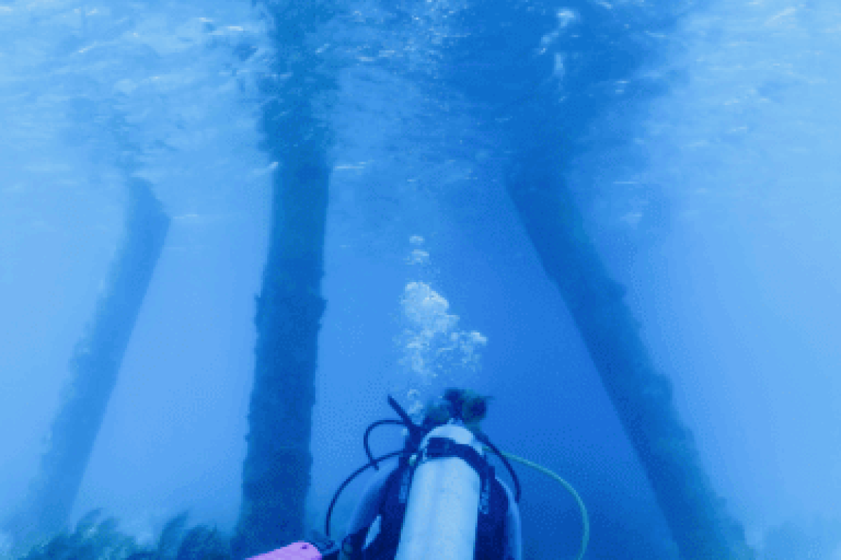 POSTER_Salt2_0cdd9dae-1de7-4baf-a80f-1e4c5069b03b