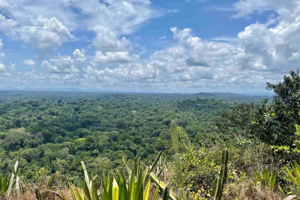 Turtledenberg-Sintia-Dam-expedition-Orange-Suriname-1024x768