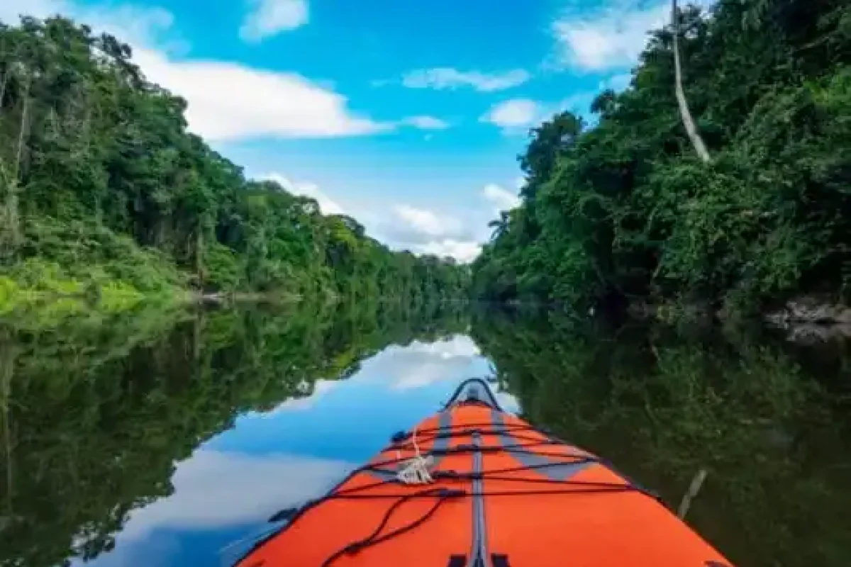 Suriname River Kayak Expedition (Suriname) 4