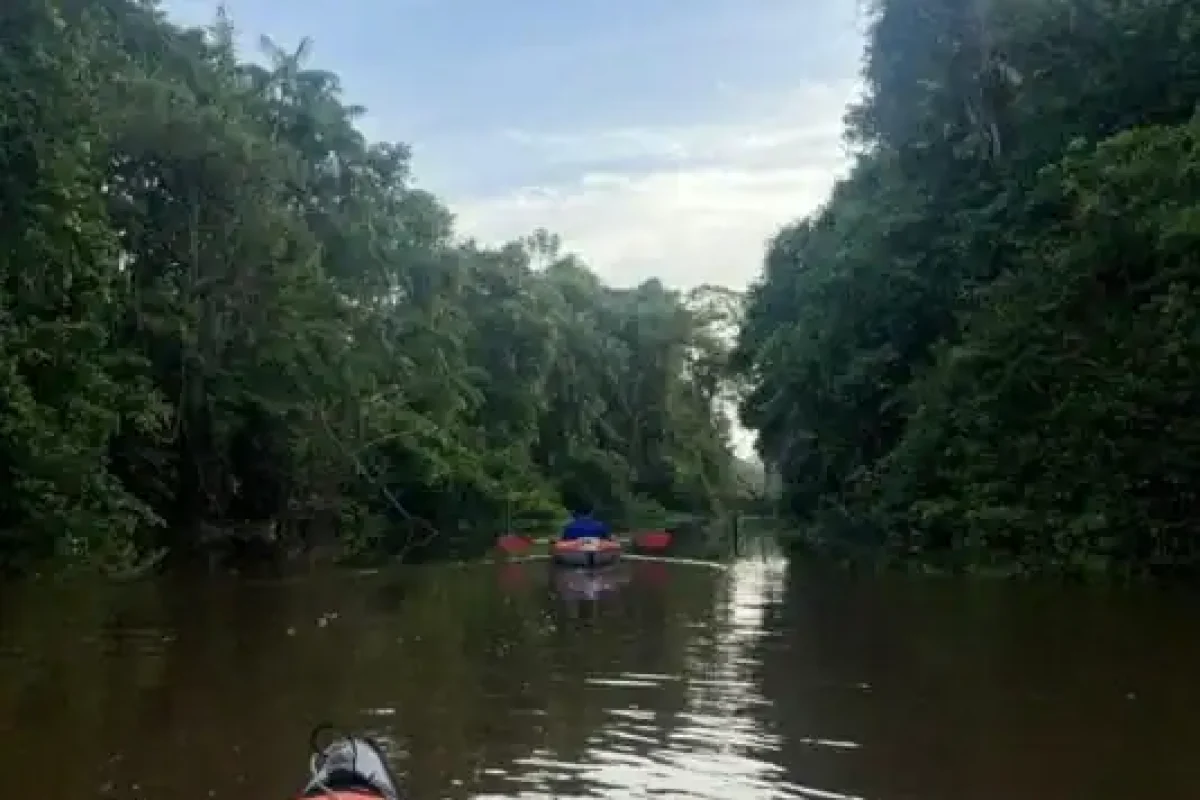 Suriname River Kayak Expedition (Suriname) 5