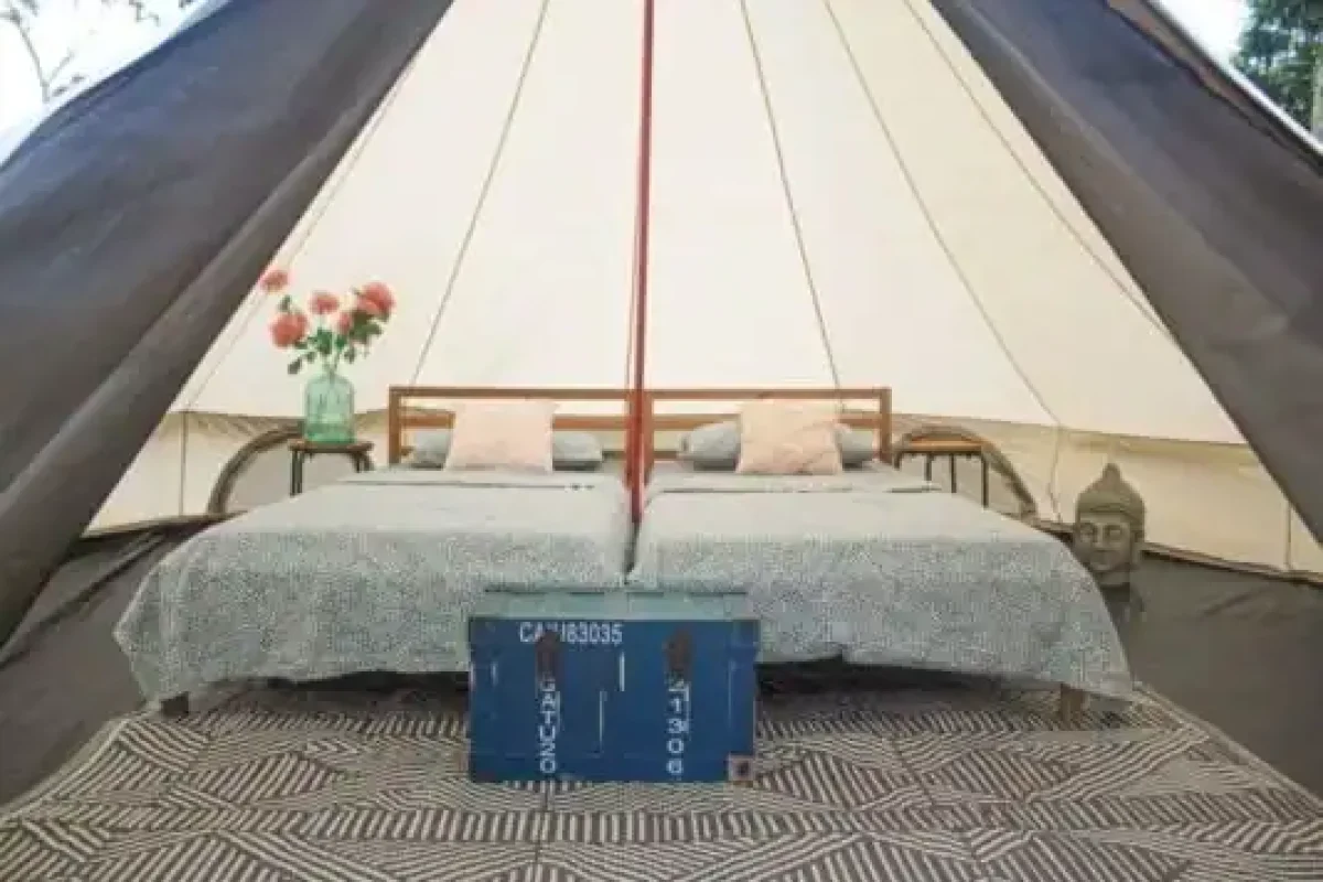 Suriname-Seliba-4-1024x683-534x359